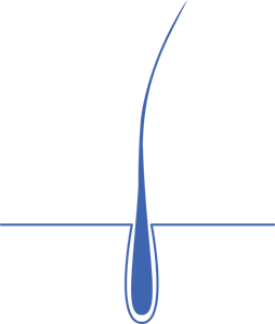 Perrault RX
